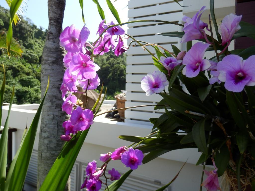 Kata Beach Studio Phuket Exterior photo